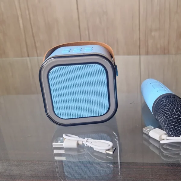 Best Portable Karaoke System with Dual Microphones