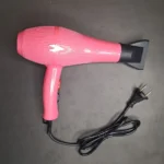 Professional Hair Dryer