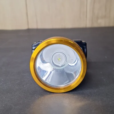 WEGO WG-052 20W COB LED Headlamp