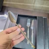 German 24-Piece Cutlery Set - Spoon Held Hand holding spoon from German stainless steel cutlery set