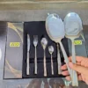AVD 36 piece cutlery set place setting and serving spoon held in hand