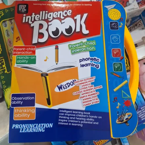FZ Fun Zone Intelligence Book front cover on store shelf